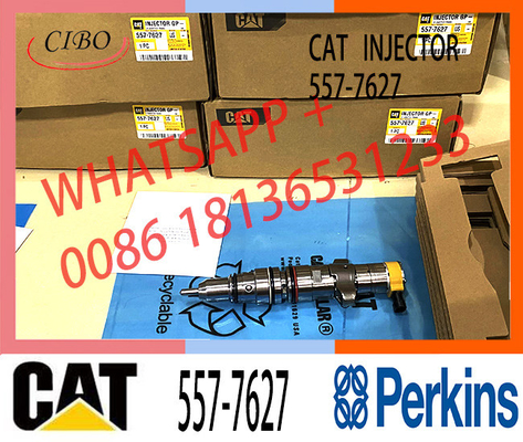 Inyector 3879433 del CAT C9 5577627 inyector 235-2888 557-7627 de CAT 330 del excavador del CAT 336 387-9433 C9